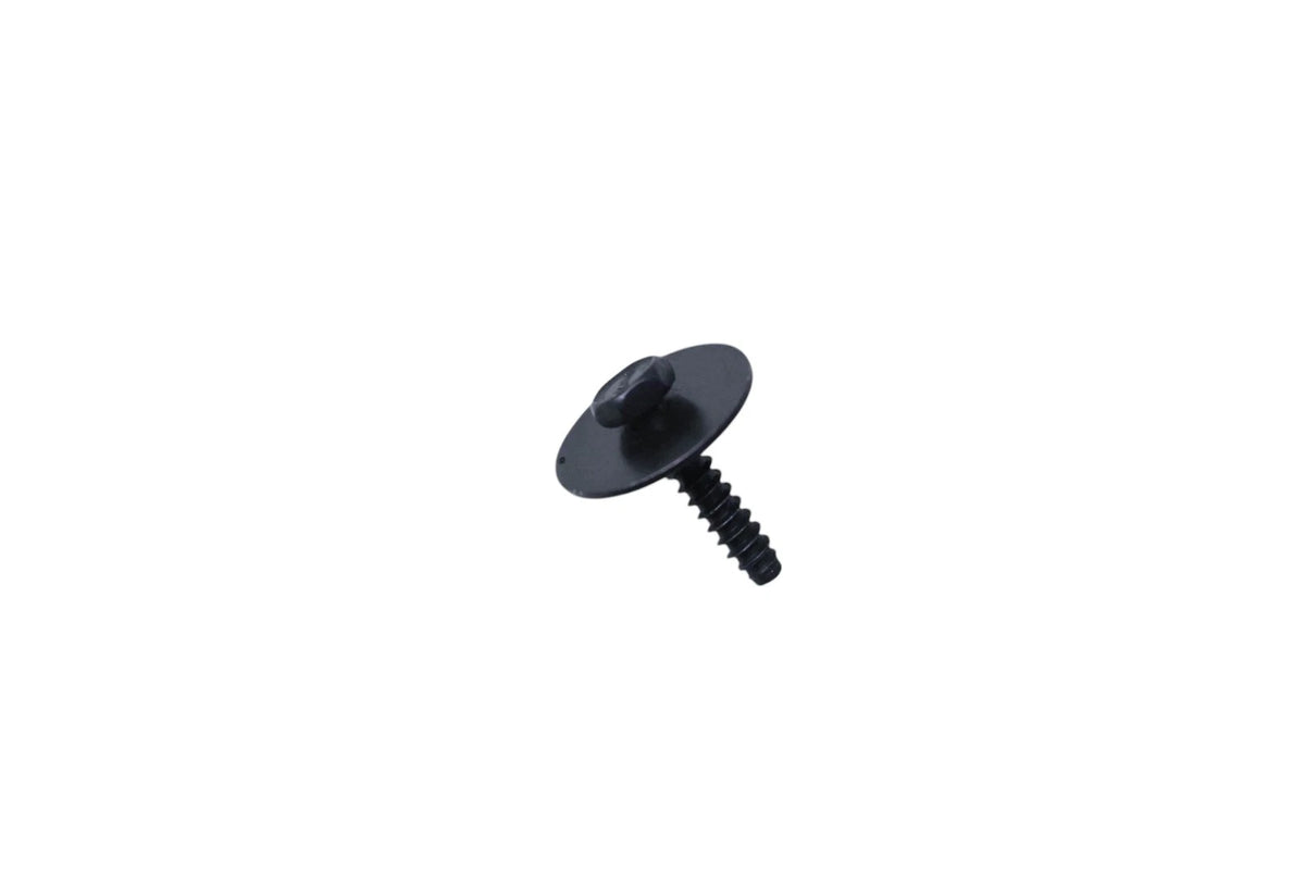 Extension Panel Screw for Ford (W709976-S900)