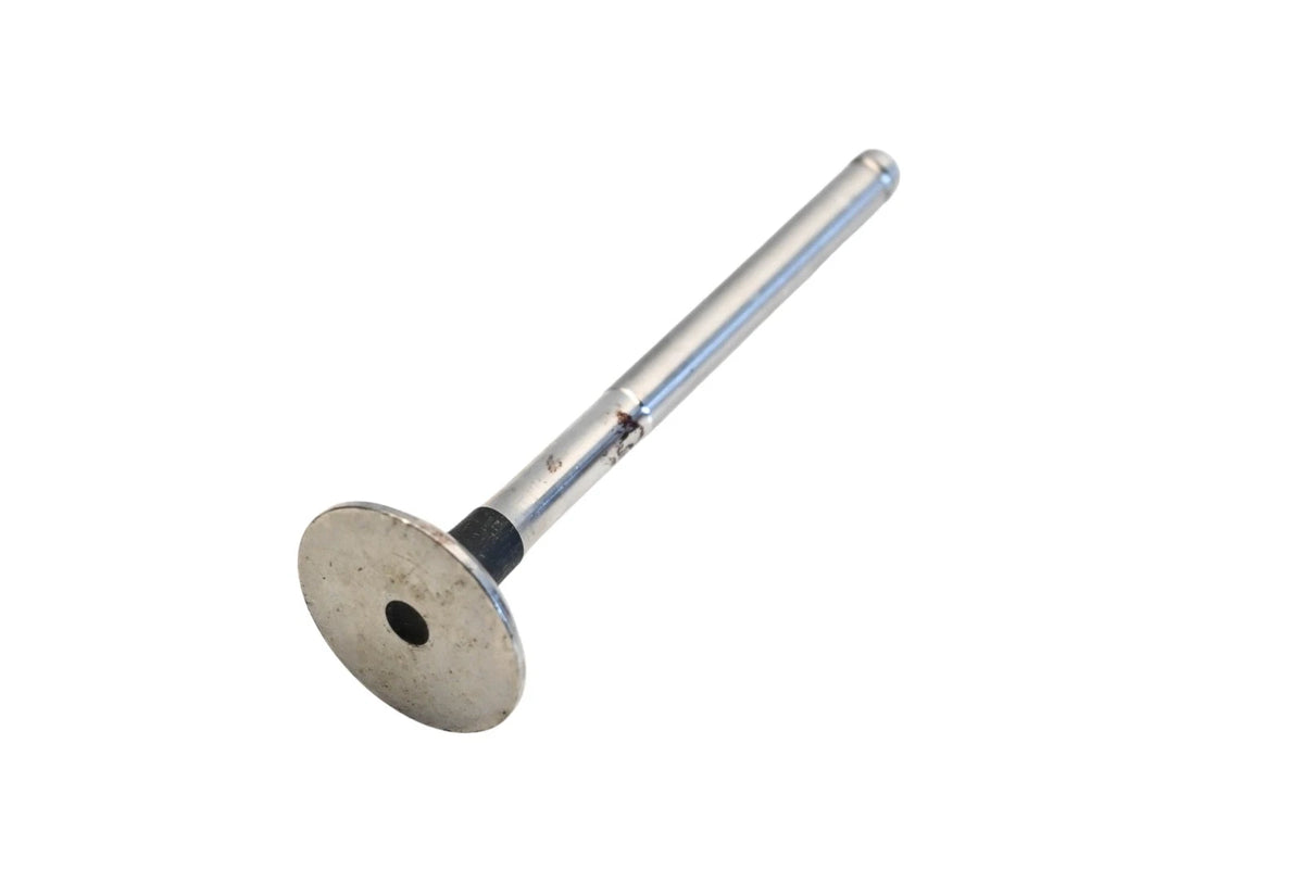 Exhaust Valve for Osvat (021-3282)