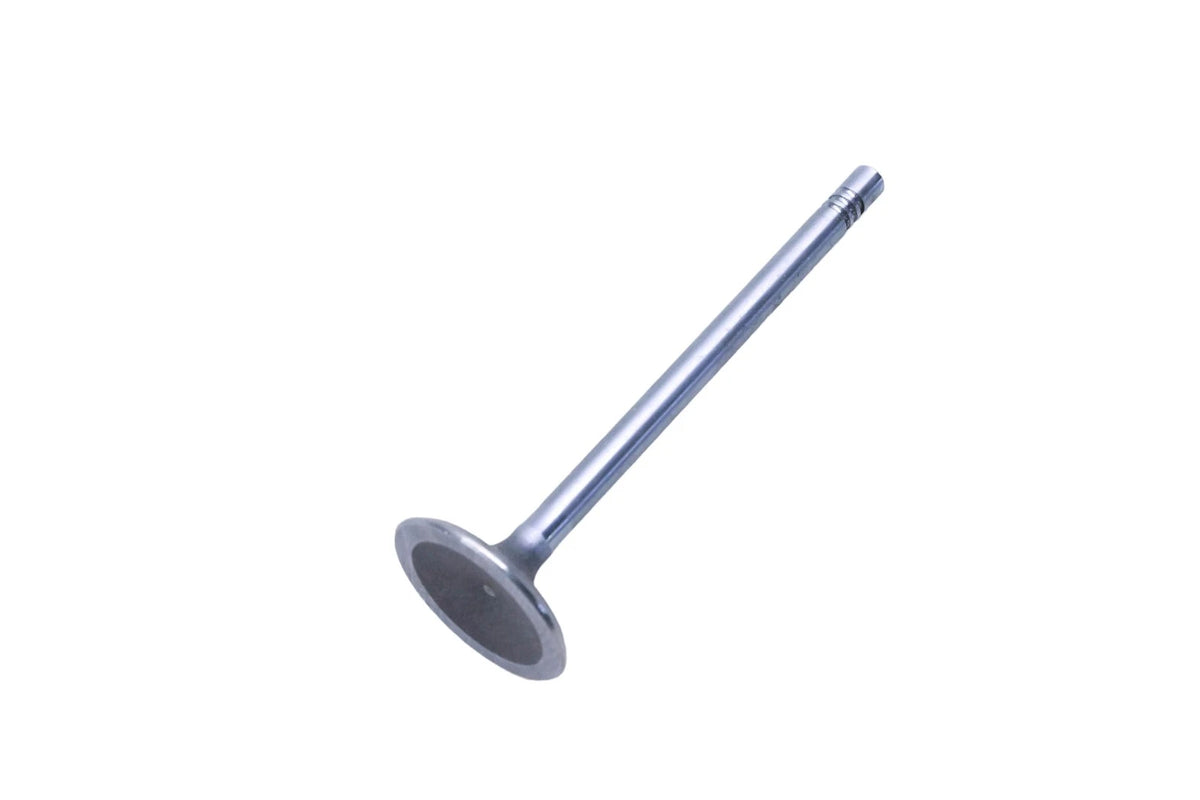 OEM Engine Cylinder Intake Valve for Ford (E5FZ-6507-A)
