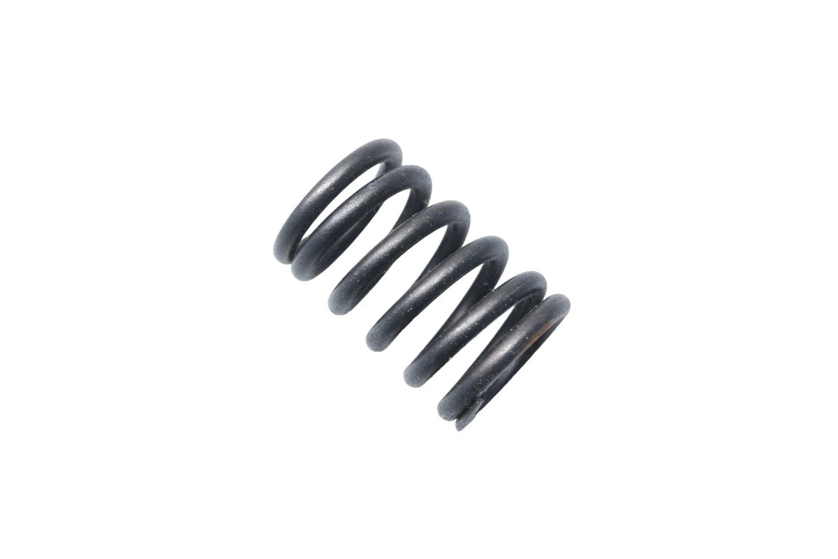 OEM Valve Spring for Ford (E0AZ-6513-A)