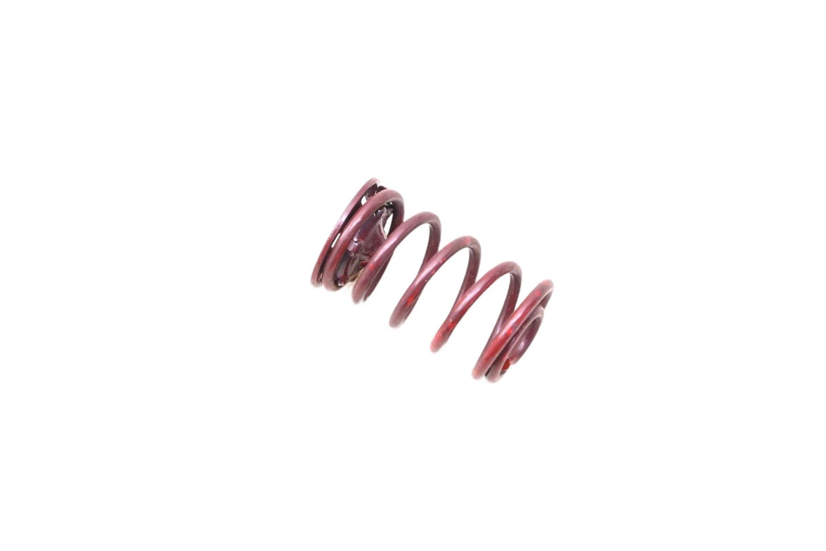 Rear Brake Hold Down Spring for Ford (D9AZ-2068-A)