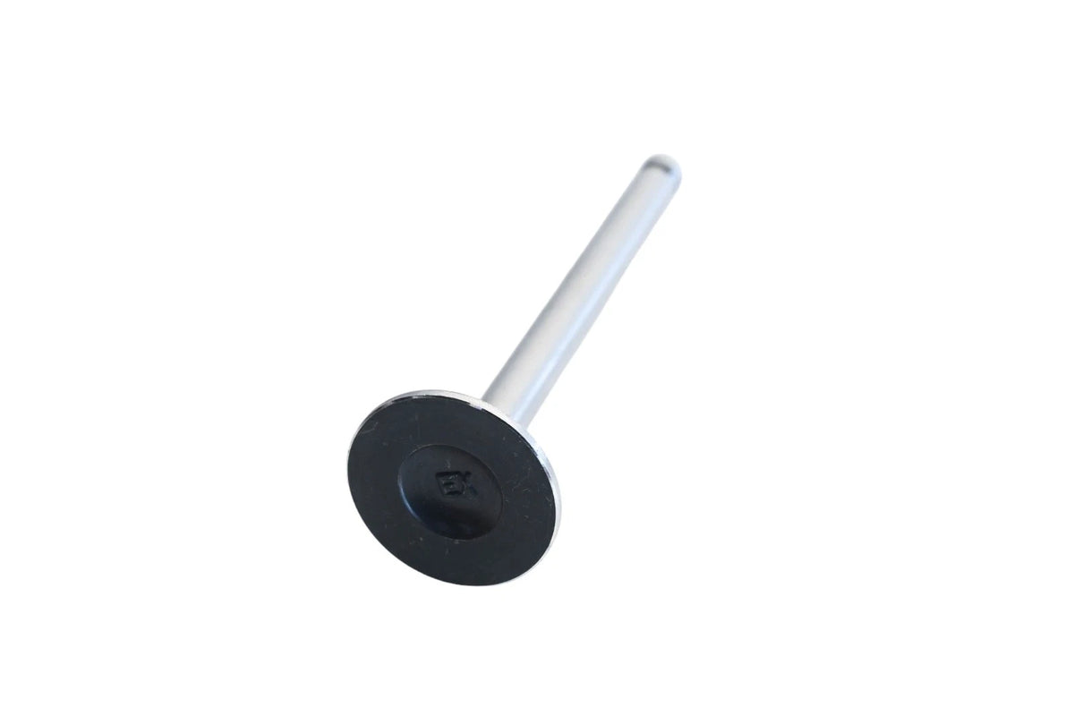 Exhaust Valve for Vera (NOS)