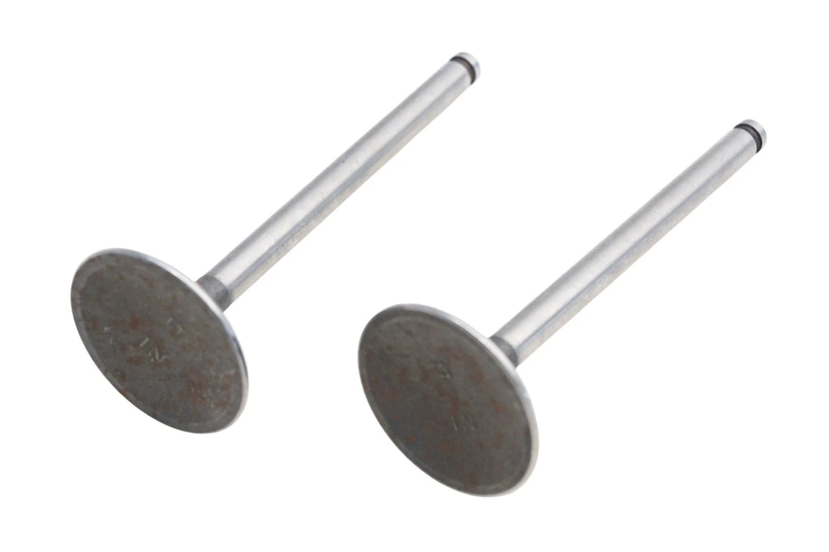 Set of 2 Valves for Freccia 4255694, 1102-12403