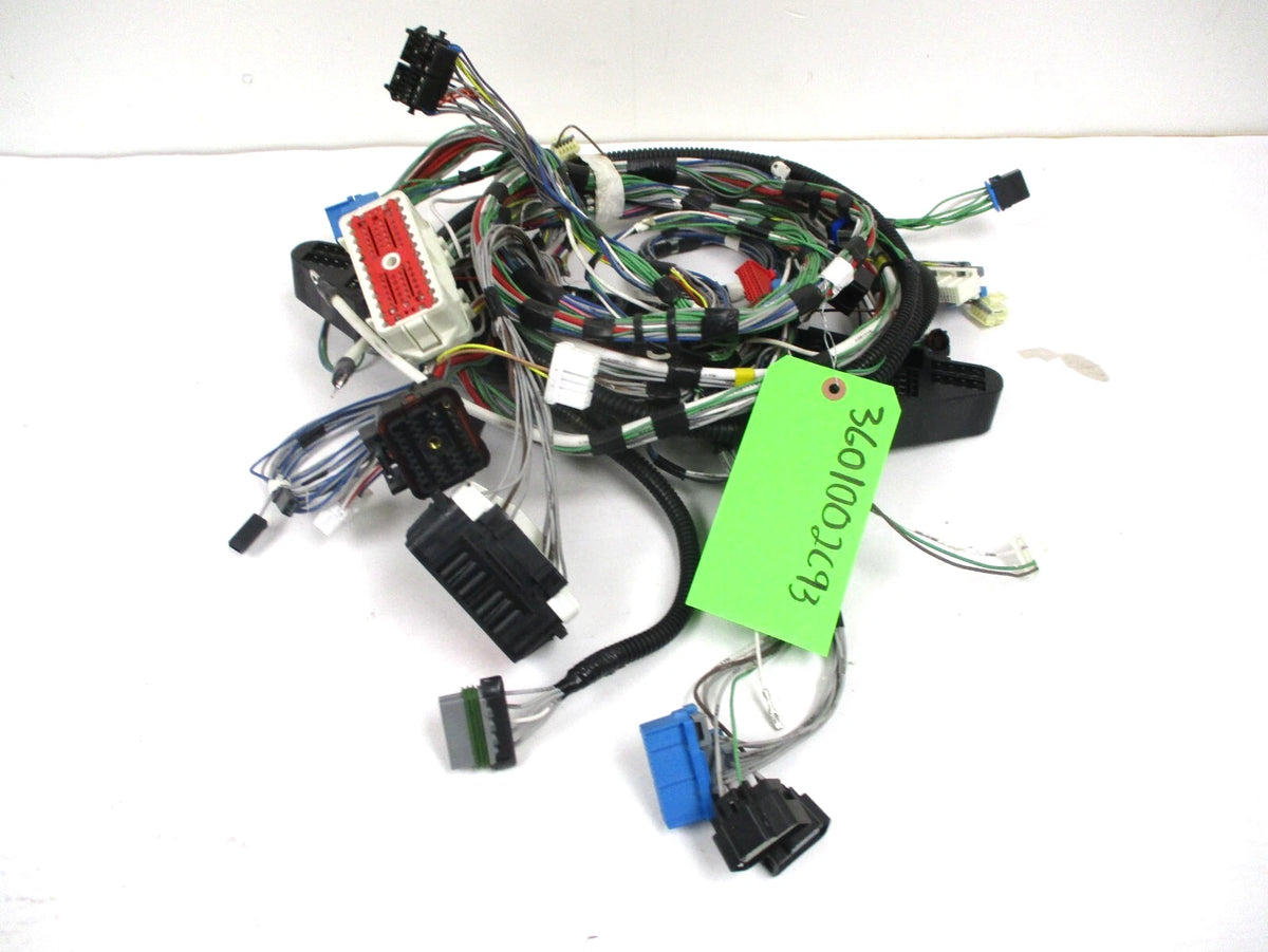 OEM Wiring Harness Driving Fog Light Assembly for International (3601002C93)