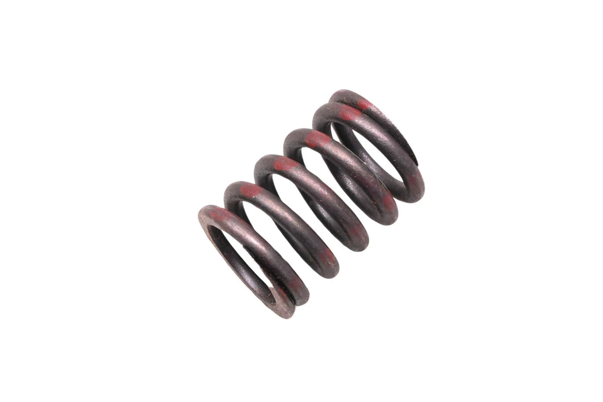 OEM Valve Spring for Ford C90Z-6513-B (NOS)
