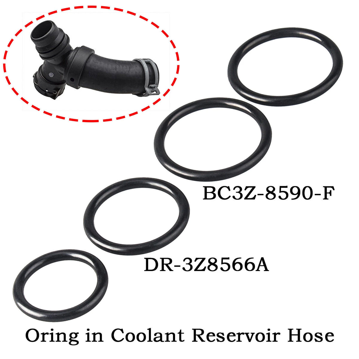 Set of 4 Coolant Hose O-Rings for Ford F-150, Mustang (2011–2018) RTS1073