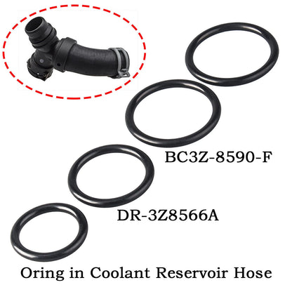 Set of 4 Coolant Hose O-Rings for Ford F-150, Mustang (2011–2018) RTS1073