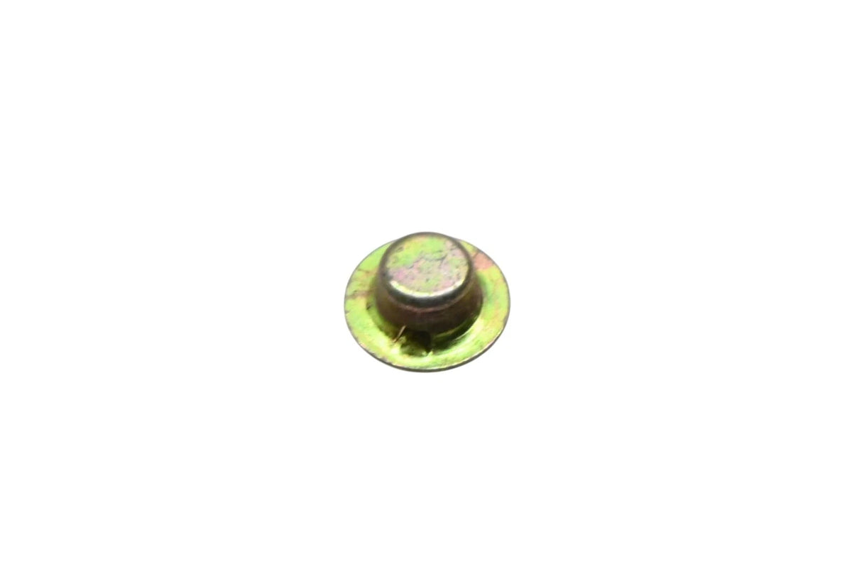 Push Cap for Aftermarket 1728072 (NOS)