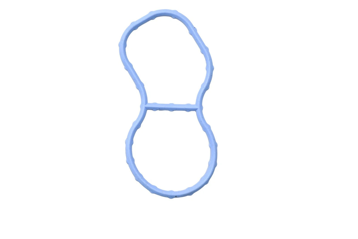 Engine Intake Manifold Gasket for Ford (F68Z-9H486-CB)