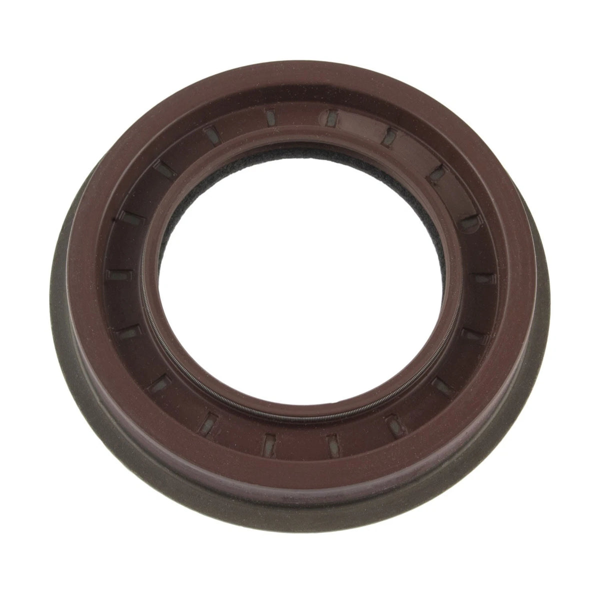 Seals for All Models (Fits )