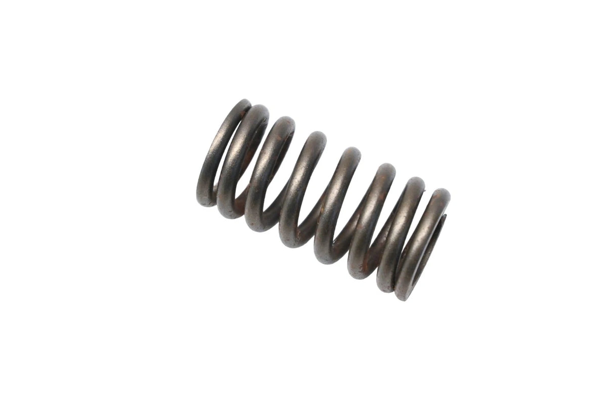 Valve Spring for Ford (YF1Z-6513-DA)