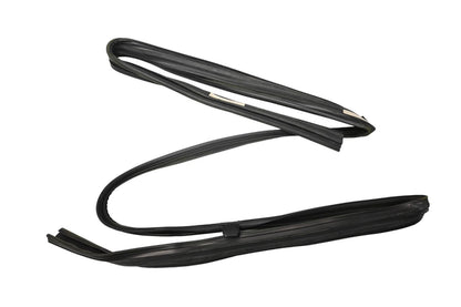 Front Door Window Glass Channel & Retainer for Ford (F1CZ-5821458-B)