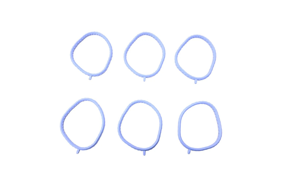 Set of 6 Intake Manifold Gaskets for Ford (XF2Z-9H486-AA)