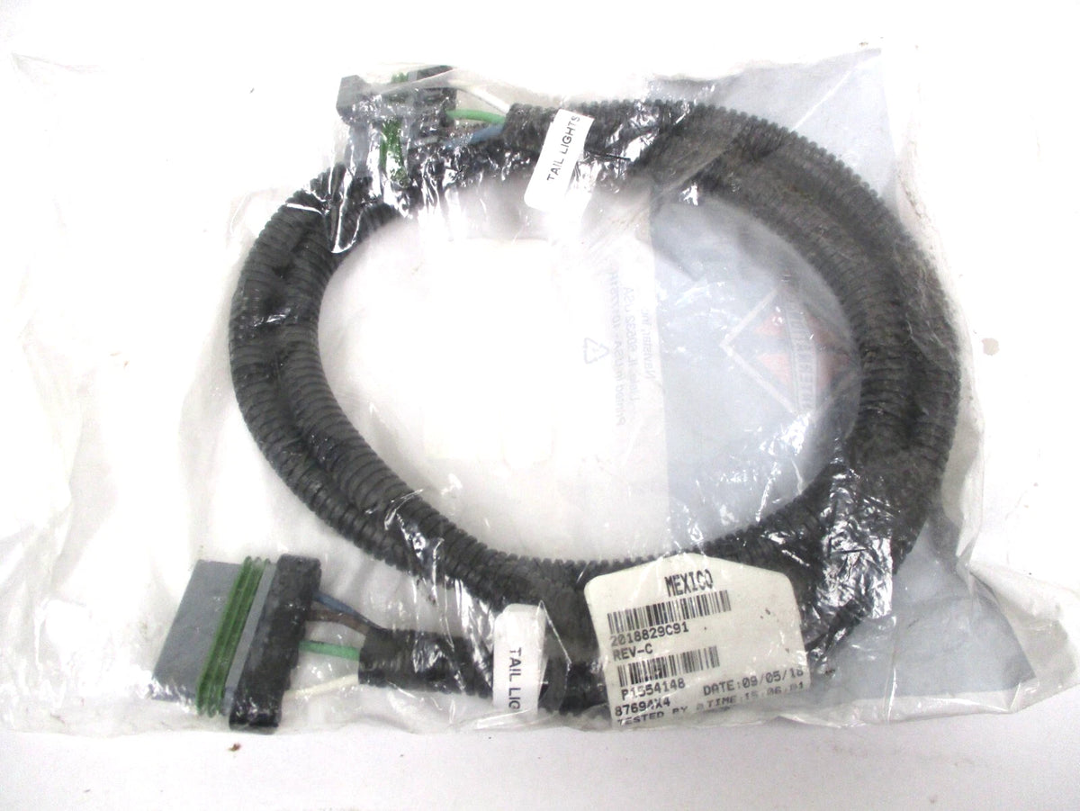 Light to Light Cable Assy for International (2018–2018) 2018829C91