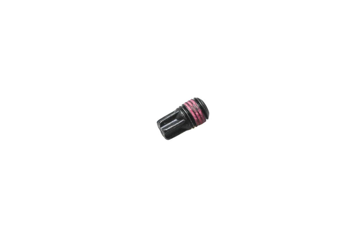 Hinge Bolt for Volvo (30622599)