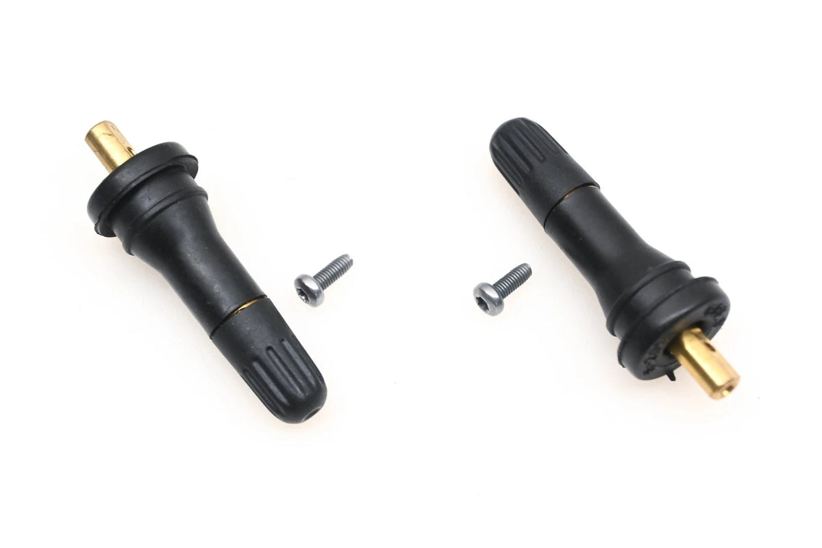2X Tire Valve Stem Kit for General Motors (15263240)
