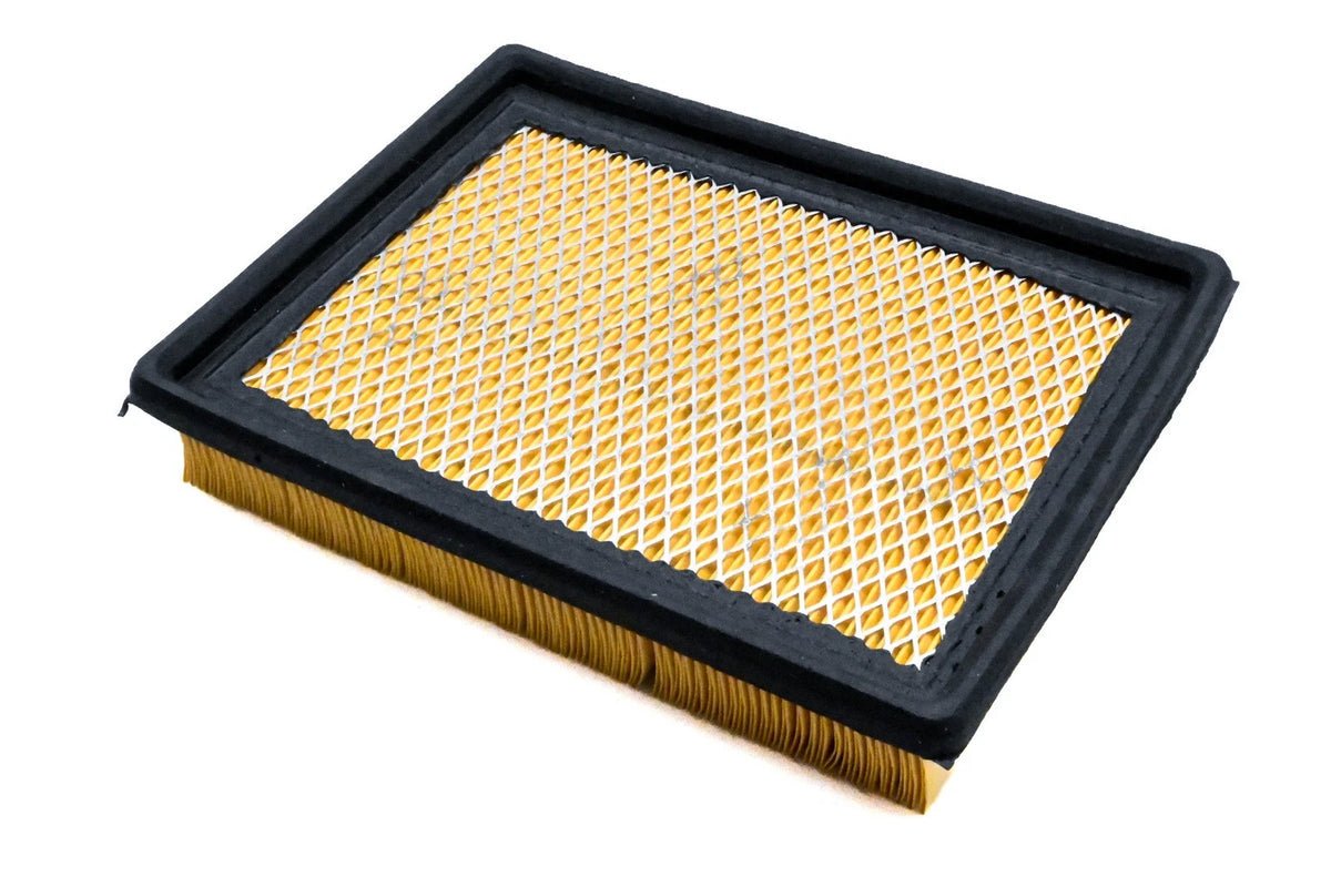 Hastings AF209 Air Filter for