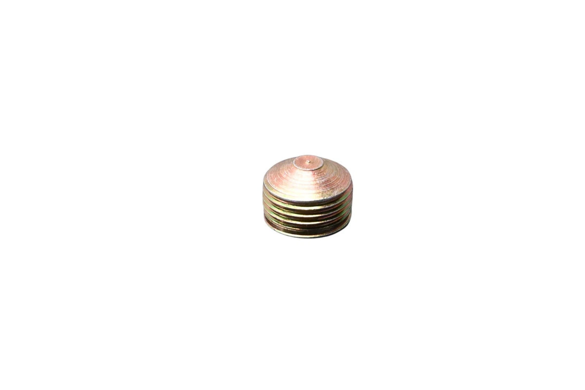 OEM Plug for Ford (C8SZ-6026-A)