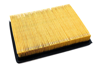 Hastings AF209 Air Filter for