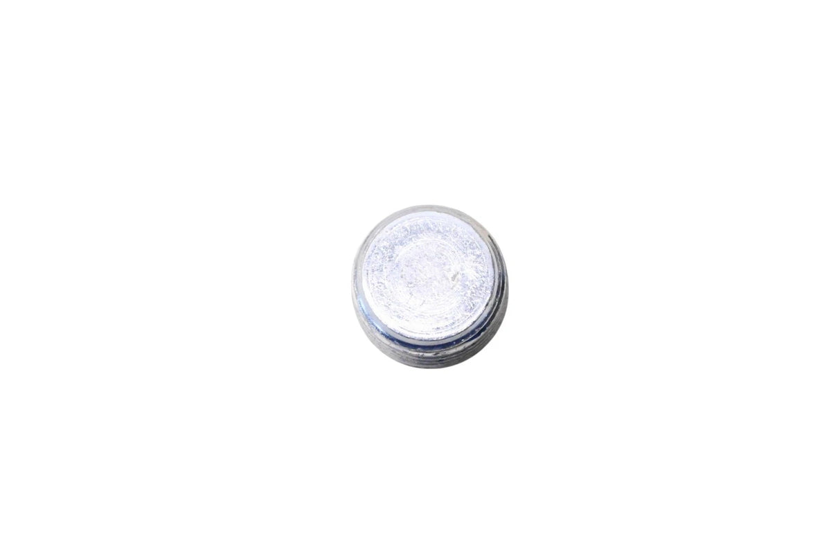 OEM Plug for Ford (E8UZ-4N282-A)