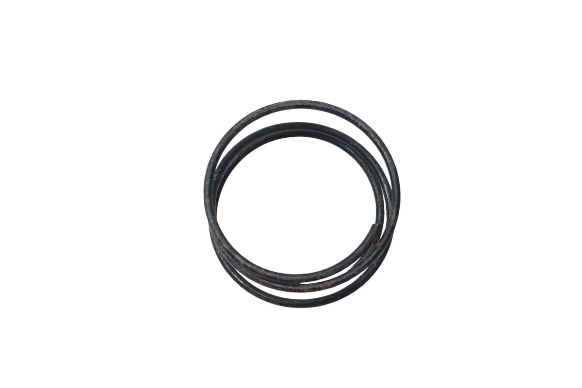 Horn Blower Spring for Ford (CODZ-13A807-A)