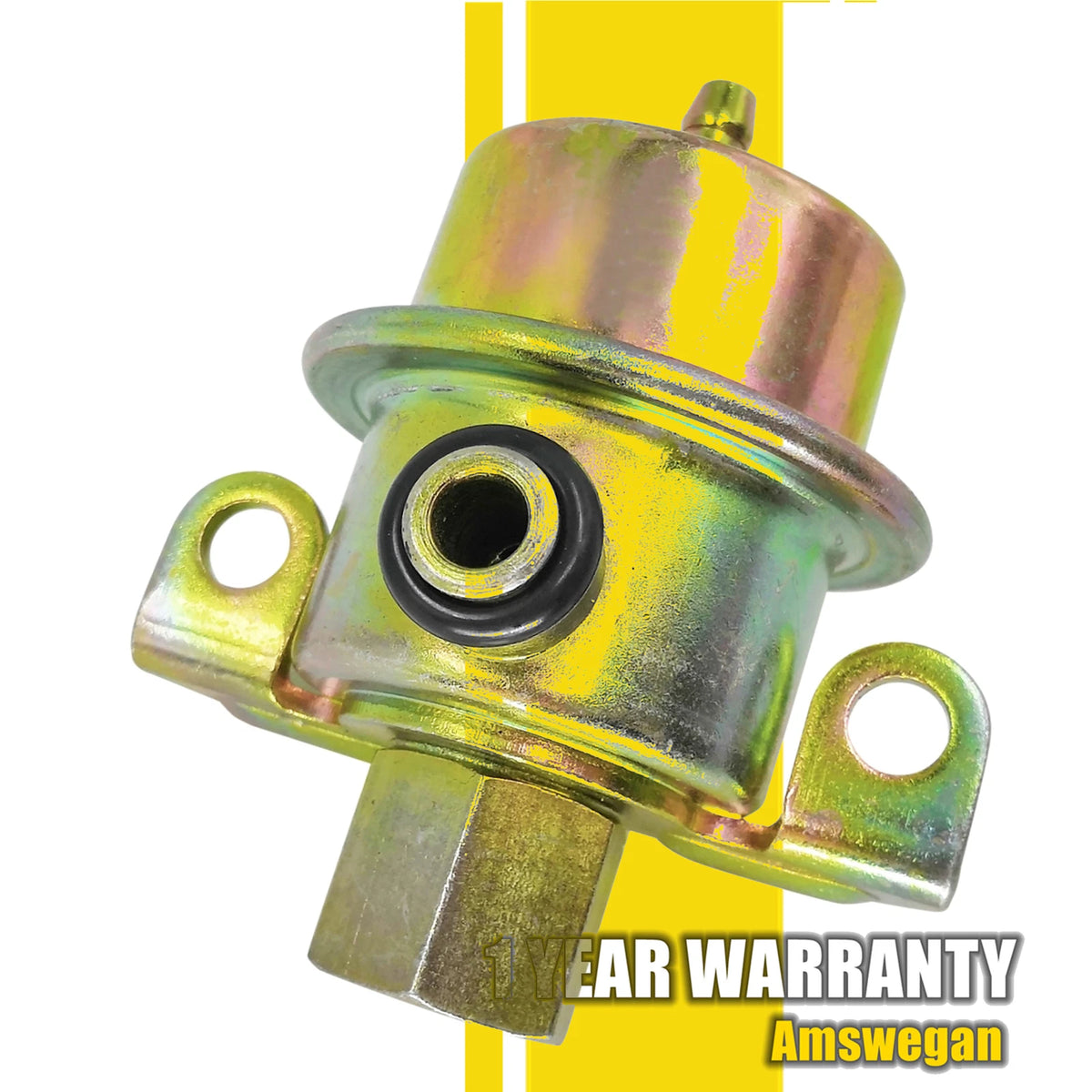 Fuel Injection Pressure Regulator for Chrysler LeBaron Dodge Shadow (PR146)