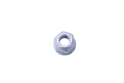 Adjusting Screw Nut for Ford (N802073-S441)