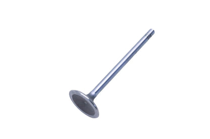 OEM Engine Cylinder Intake Valve for Ford (E5FZ-6507-A)