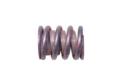 OEM Valve Spring for Ford (F3ZZ-6513-A)