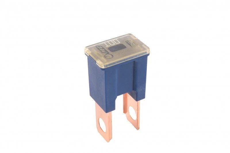 Type B Male PAL 100 Amp Fuse for Flosser 604900 (Made in Japan)
