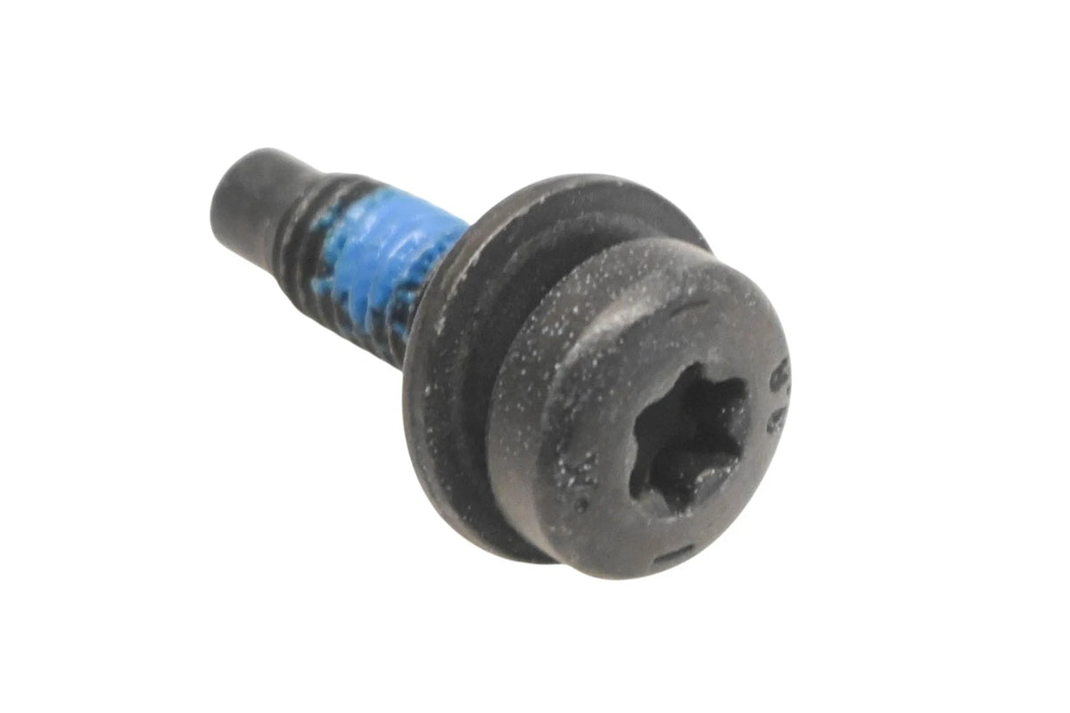 Center Track Screw for Ford (W702253-S450B)