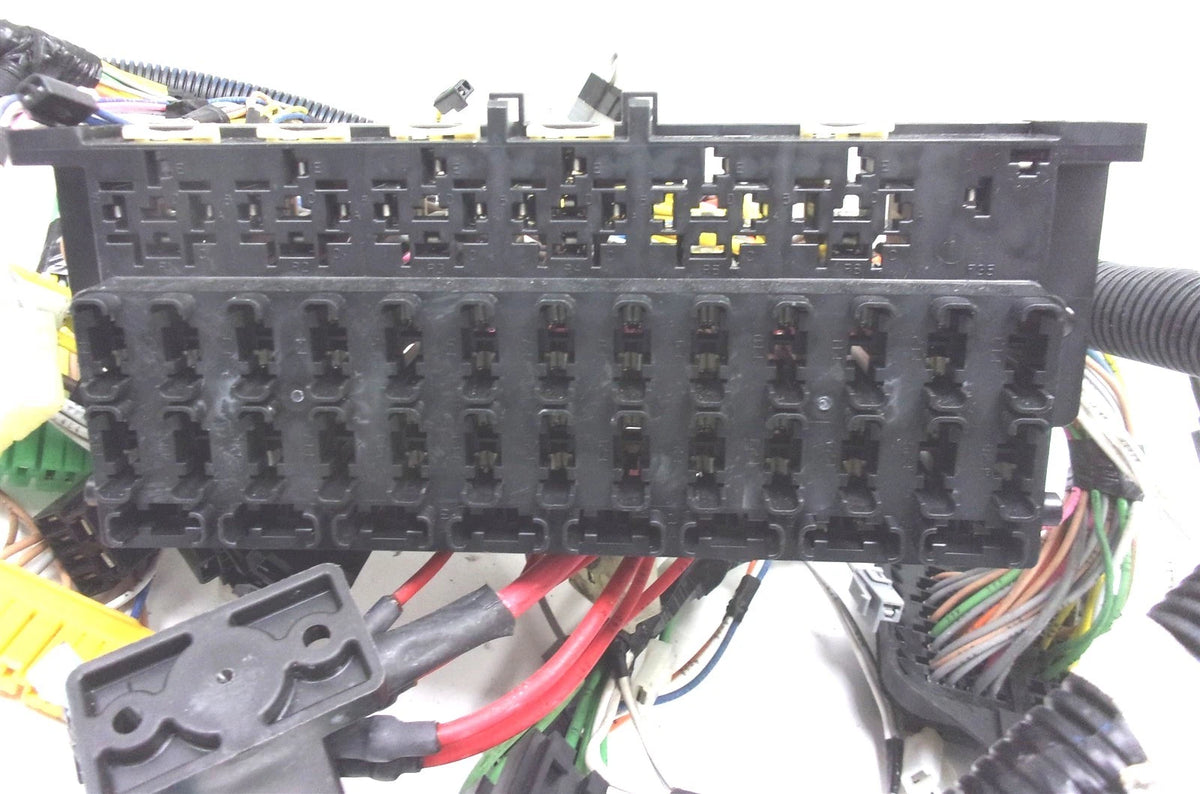 Main Wire Harness for International (2004252C91, 2004252C92)
