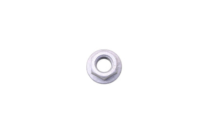 Hex Nut for Ford (N800419-S301)