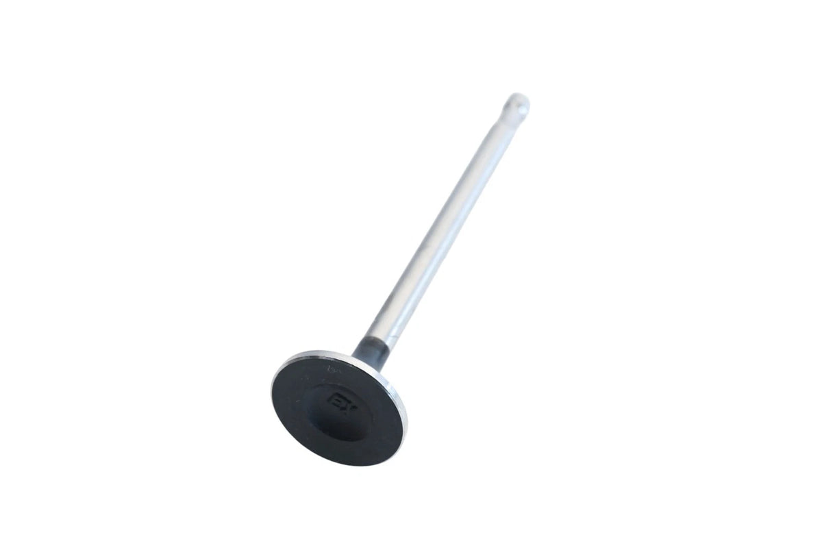 Exhaust Valve for Vera (NOS)