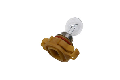 Bulb and Socket Assembly for Ford (8L8Z-13N021-A)