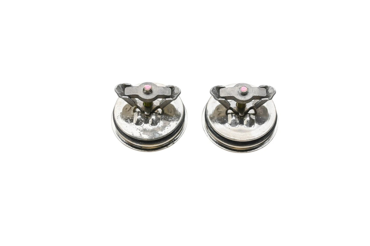 2X Freeze Pack Expansion Plugs for Ford (F8DZ-6C057-AA)