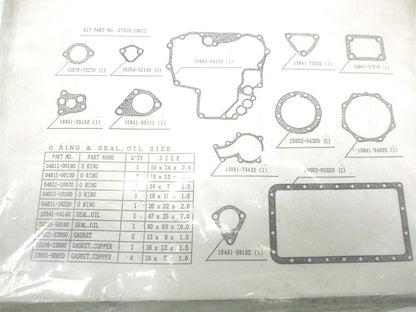 Lower Engine Gasket Kit for Kubota V800 (07916-29015)