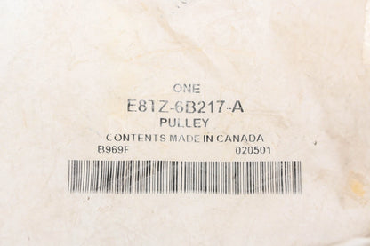 Idler Pulley for Ford (E8TZ-6B217-A)