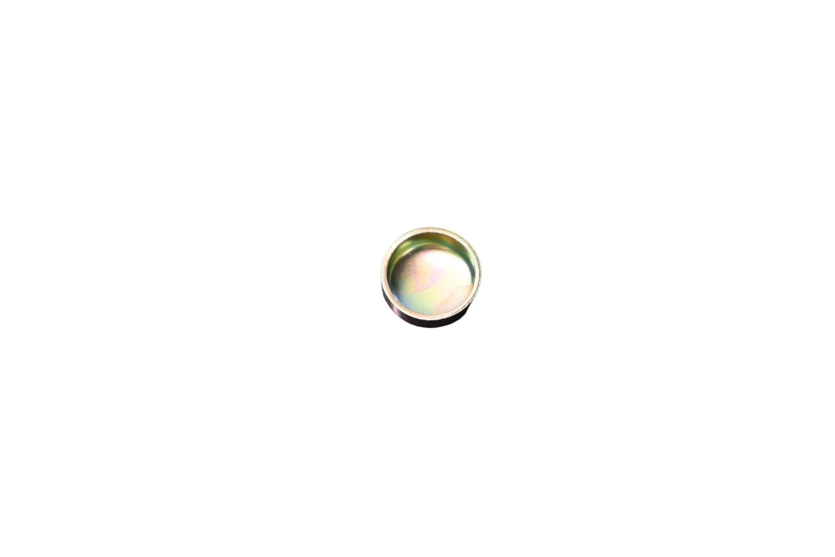 OEM Plug for Ford (E4FZ-6026-A)