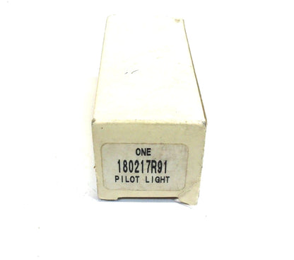 Pilot Light Assembly for International (180217R91)