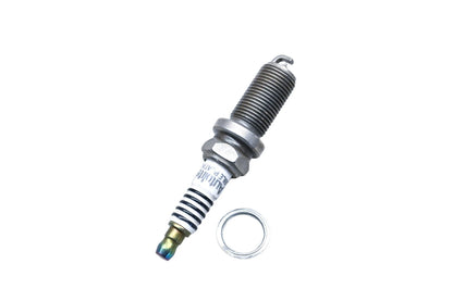 Autolite APP5325 Double Platinum Spark Plug for
