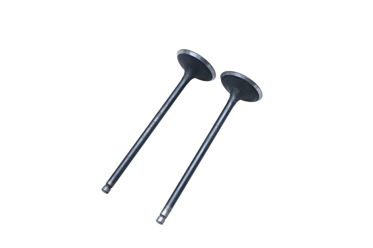 2X SBI 10541 Valves for
