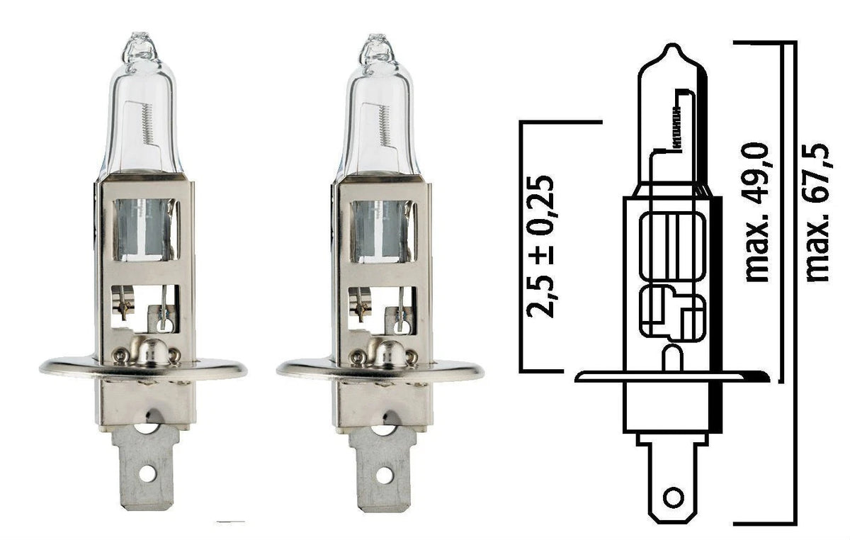 2X H1 12V 55W Halogen Bulbs for Flösser 3021 (Made in Germany)