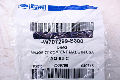 Engine Coolant Thermostat Housing Gasket for Ford (W707299-S300)