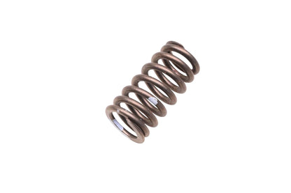 OEM Engine Valve Spring for Ford (XL3Z-6513-AA)