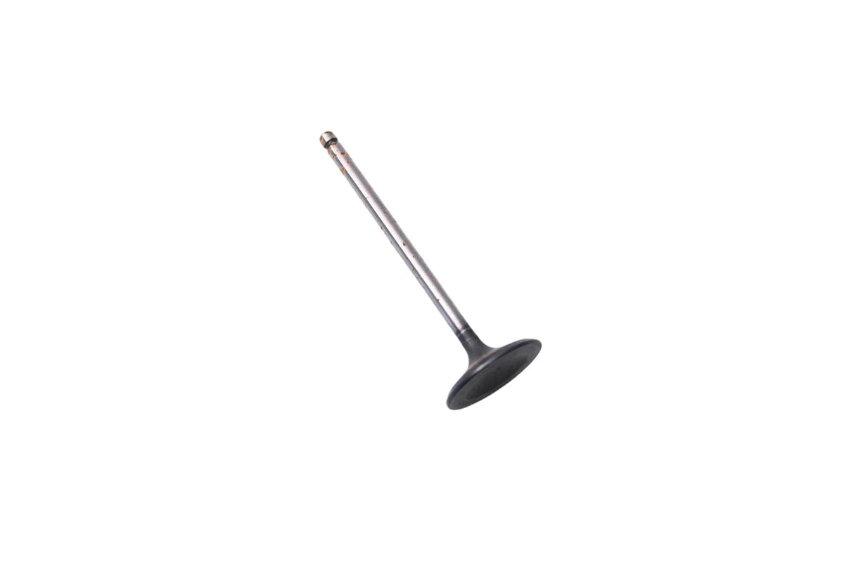 Intake Valve for Ford (2003–2003) 3S4Z-6507-AA
