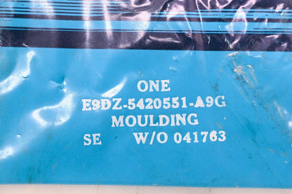 Left Side Door Window Moulding Kit for Ford (E9DZ-5420551-A9G)