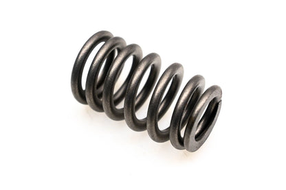 Mopar Engine Valve Spring 53020749AC for