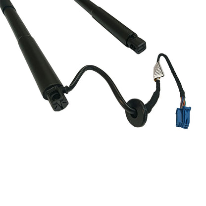 2X Rear Tailgate Lift Support for Mercedes-Benz ML63 GLE550 ML350 (2012–2019)
