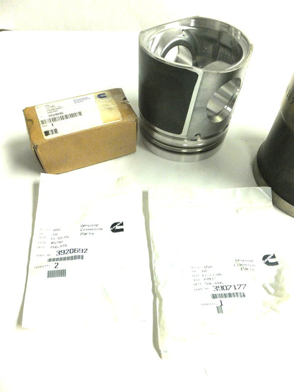 Cylinder Kit for Cummins 8.3L C Engines (4020060)